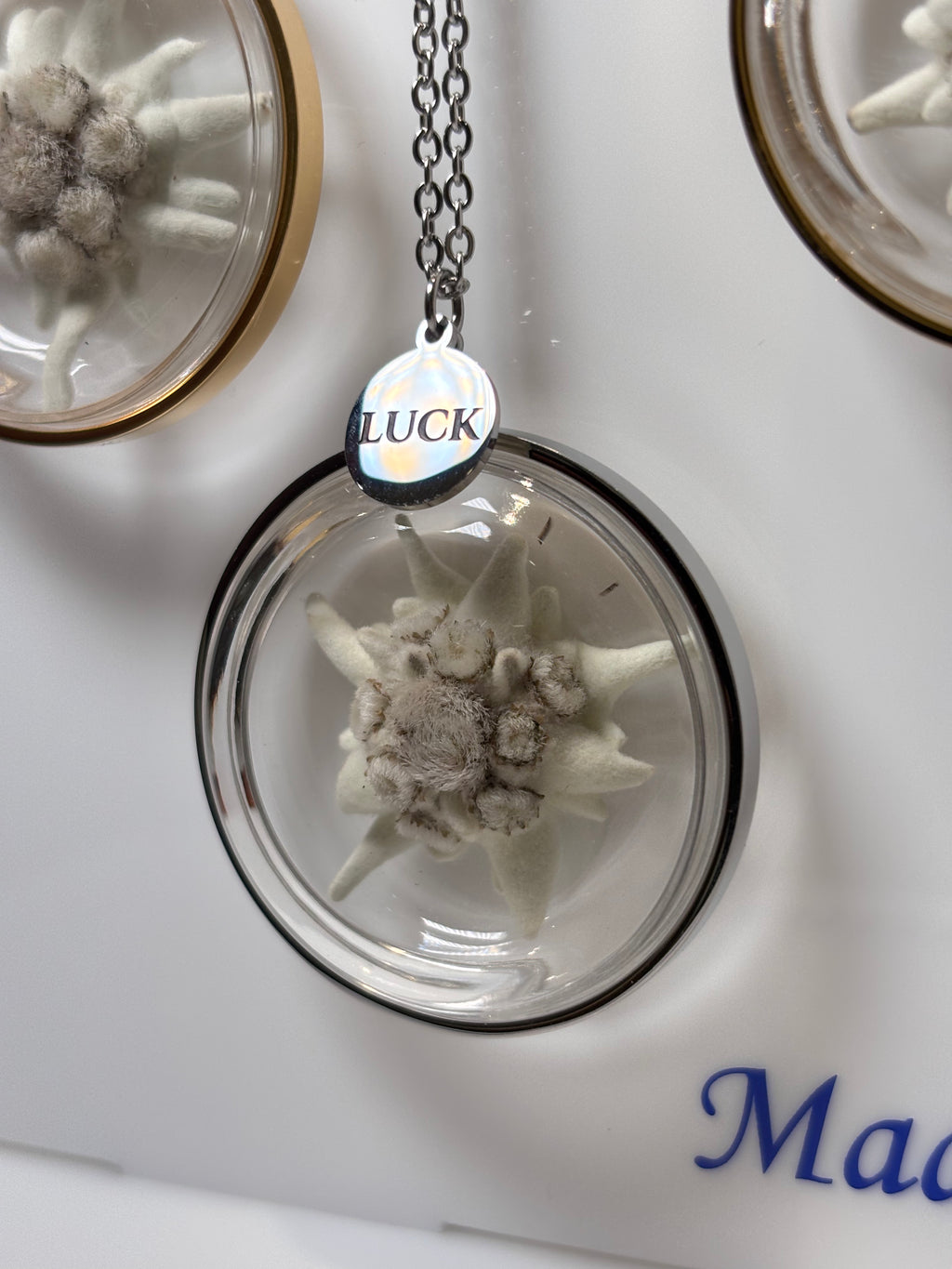 Collana La Tua STELLA ALPINA Portafortuna