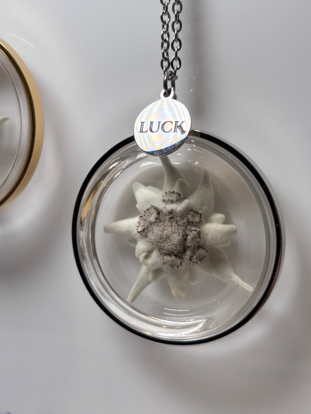 Collana La Tua STELLA ALPINA Portafortuna