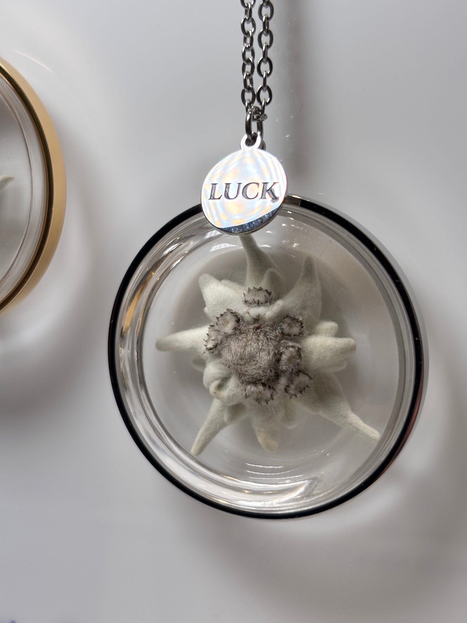 Collana La Tua STELLA ALPINA Portafortuna