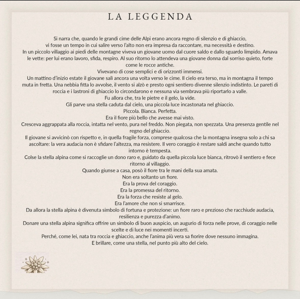 Collana La Tua STELLA ALPINA Portafortuna